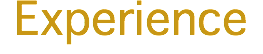 Experience